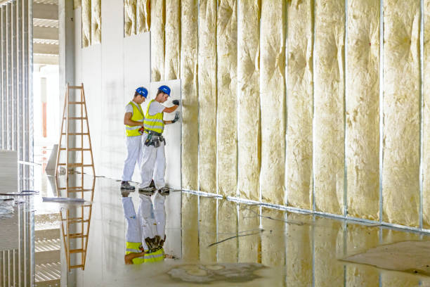 Best Insulation Maintenance and Repair in Fairway, KS